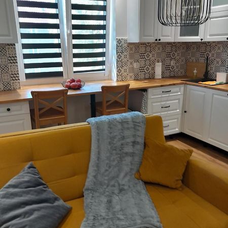 Apartament "Konie I Anioly" Boguszow-Gorce Exterior photo