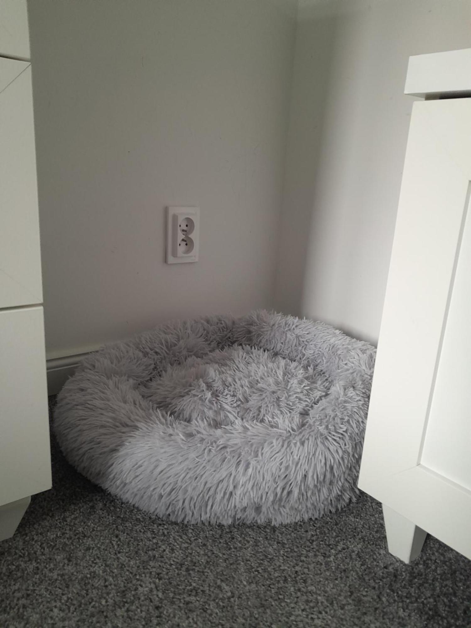 Apartament "Konie I Anioly" Boguszow-Gorce Exterior photo